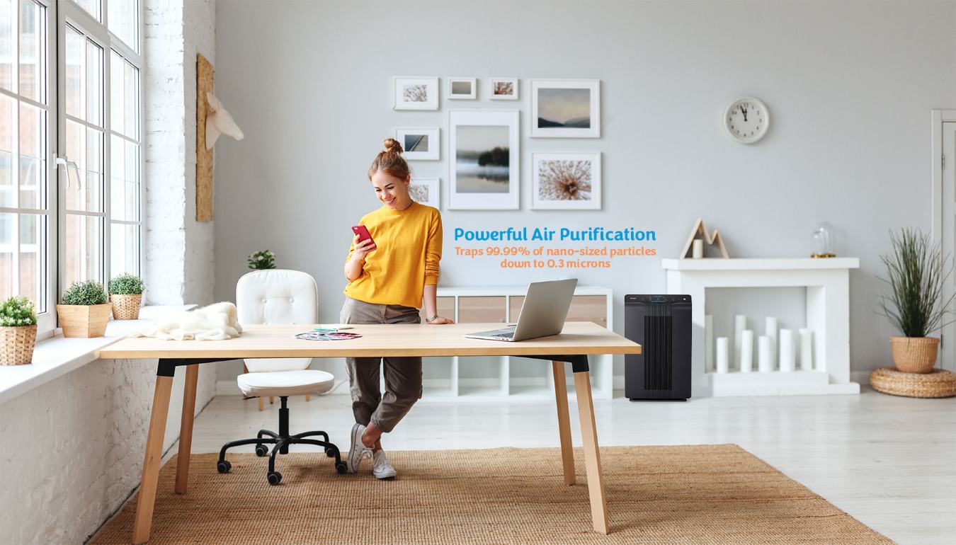 Air Purifier Filters True HEPA Air Filters for Winix and Coway