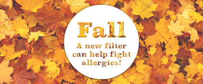 Prevent Fall Allergies