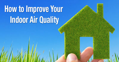 Eliminate Indoor Air Pollutants From Your Home