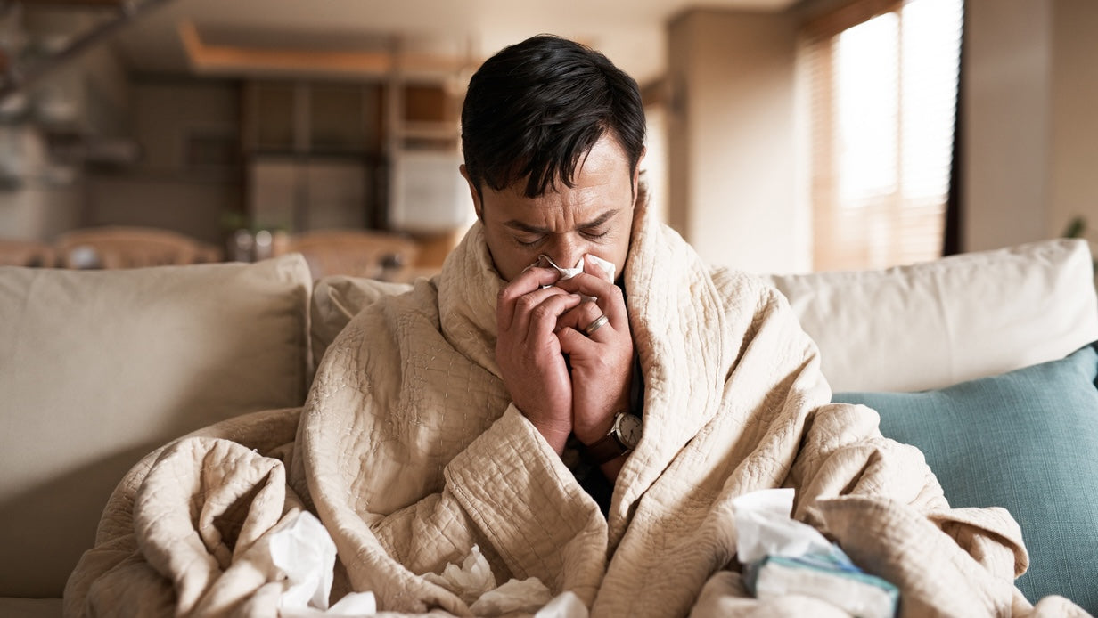 Cold and Flu Season: Your Indoor Air – Factory Direct Filters